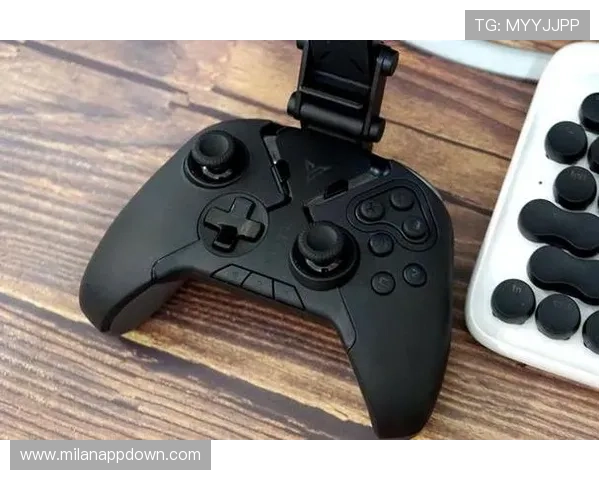 博鱼中国官网最新版本上线，全面优化游戏体验与用户界面提升用户满意度