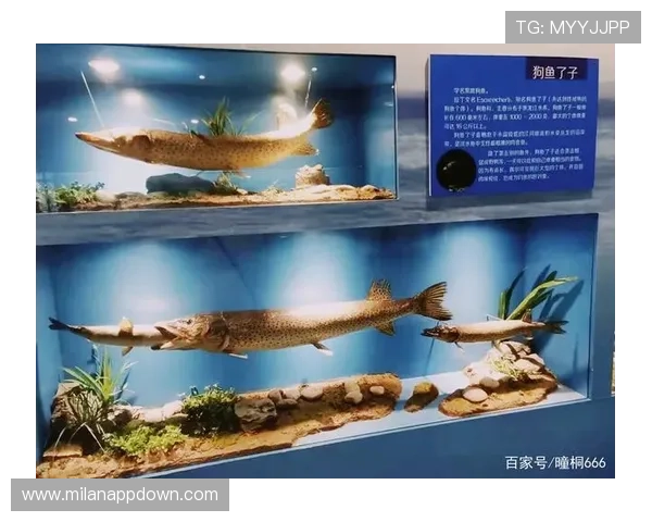 博鱼官方网站常见问题解答全面覆盖玩家关心的各类疑问与解决方案